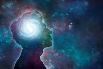 大型猫科动物有哪些