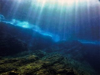 花卉是什么意思