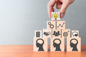 家中放什么花最旺宅（盘点九种旺财又旺宅的植物）