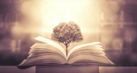 保护环境手抄报简单好看精选