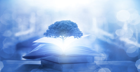 大型猫科动物有哪些