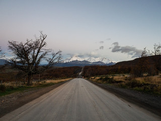 花卉是什么意思