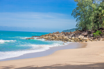 五年级下册科学题现在的家鸡是怎么来的-