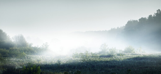家庭饮食安全常识有哪些