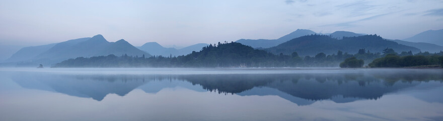 花卉是什么意思