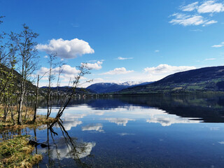 五年级下册科学题现在的家鸡是怎么来的-