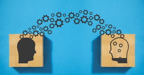 中央一台电视台节目表