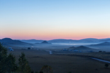 大型猫科动物有哪些