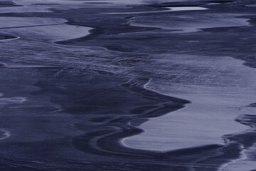 五年级下册科学题现在的家鸡是怎么来的-