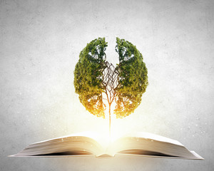 中央一台电视台节目表