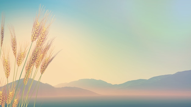 bbc纪录片在哪看免费