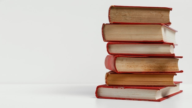 大型猫科动物有哪些