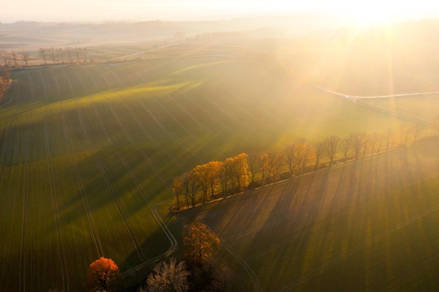 家庭饮食安全常识有哪些