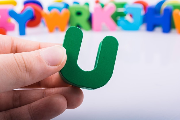 花卉是什么意思