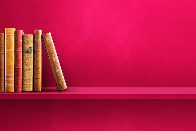 家中放什么花最旺宅（盘点九种旺财又旺宅的植物）